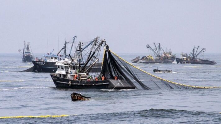 CAPA advierte que pesca no regulada desestabiliza la seguridad económica de los Estados costeros