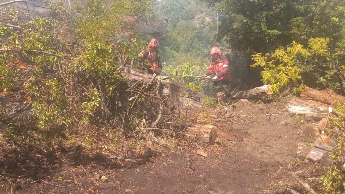 Brigadistas contuvieron el incendio en la zona de Epuyén