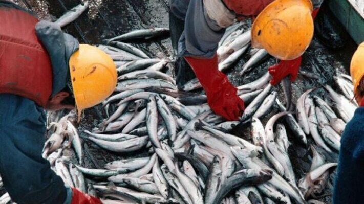 China levantó suspensiones sobre establecimientos pesqueros argentinos
