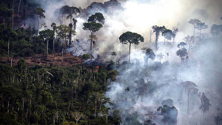 amazonia, bosques, Brasil, deforestación, récord, SELVA
