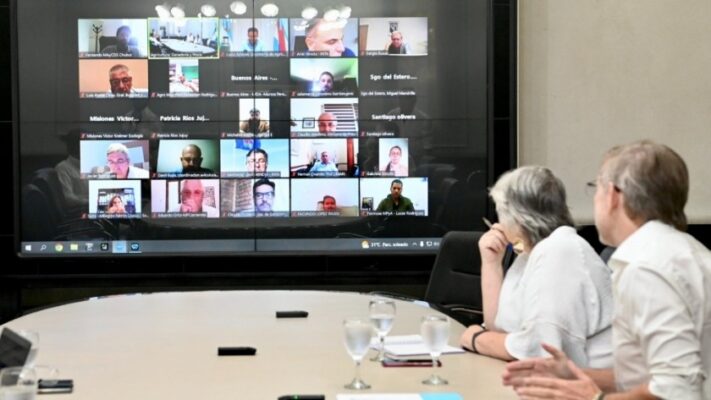 acciones, Consejo Federal, Gripe Aviar, influenza