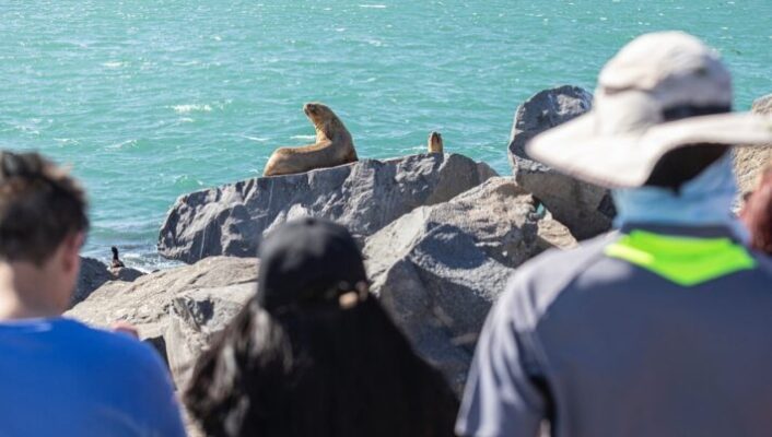 Actividades, Comodoro Rivadavia, febrero, turismo, turista por un día, VISITAS