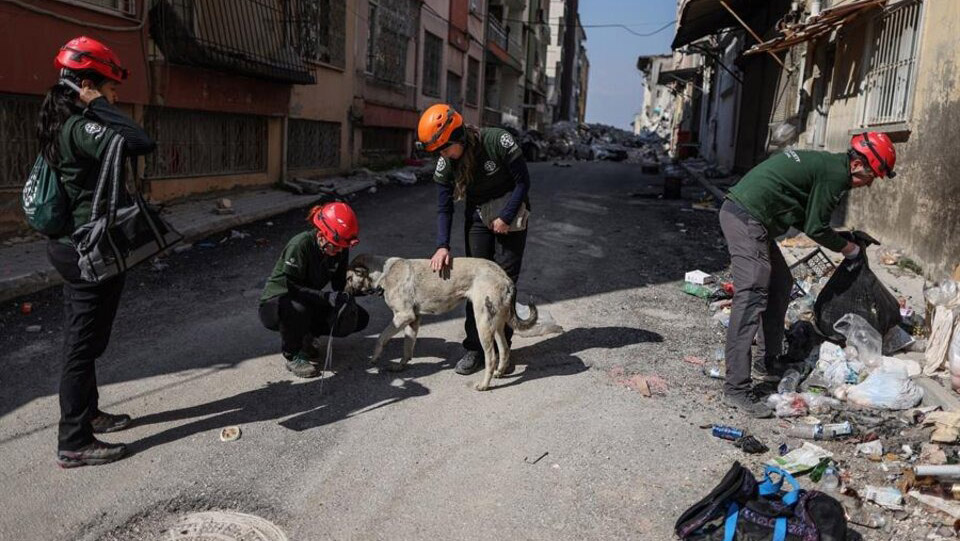 Un nuevo sismo sacude el sur de Turquía
