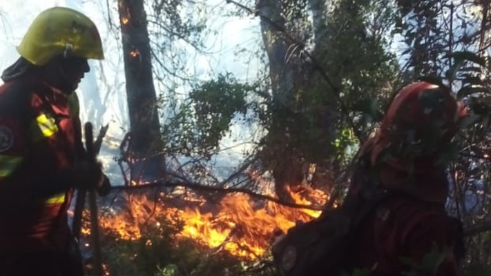Brigadistas en intensa labor para controlar incendio en Lago Cholila