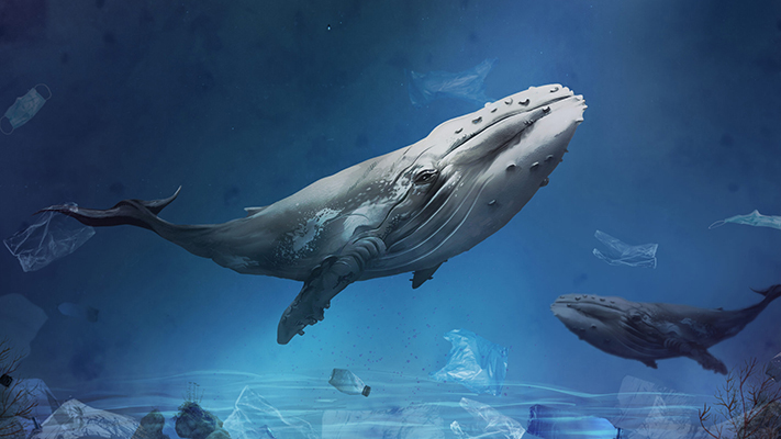 ¿Cómo se hicieron gigantes las ballenas?