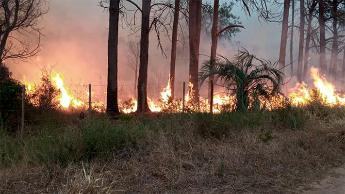 El incendio en el Iberá ya arrasó con 5 mil hectáreas