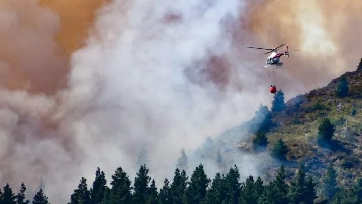 el pedregoso, epuyén, incendio, presunta intencionalidad