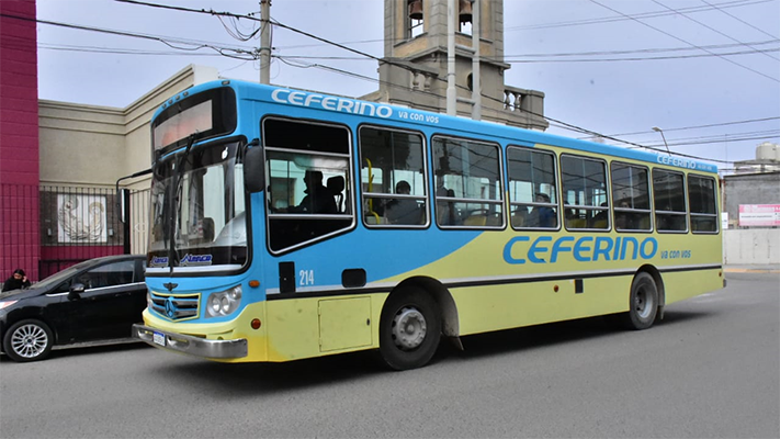 colectivo gratis, FIESTA DEL CORDERO, Municipales, noticias