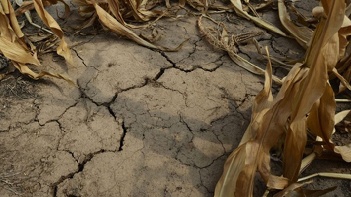 Casi el 60% del país en sequía