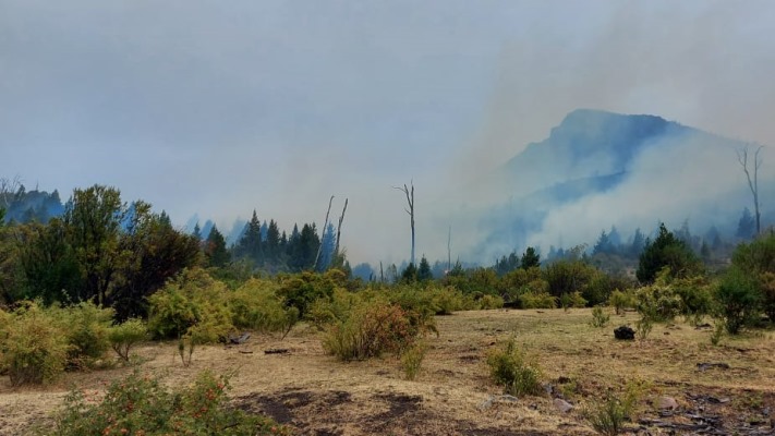 Más de 150 personas buscan controlar incendio en zona de Epuyén