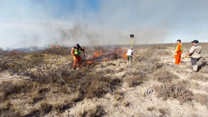 ACTIVO, BAJO GUALICHO, BRIGADA, incendios