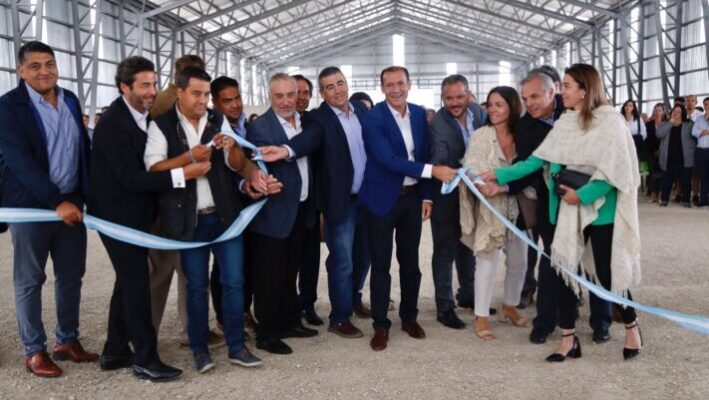 Neuquén, Omar Gutiérrez, Zapala, zona franca