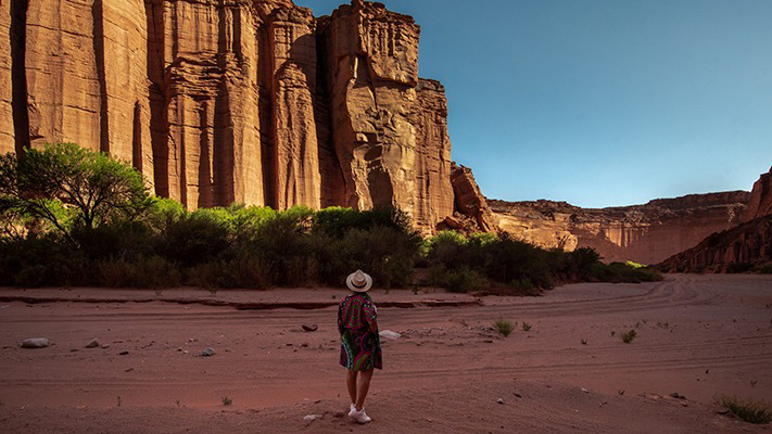 Esperan un año de crecimiento del turismo internacional