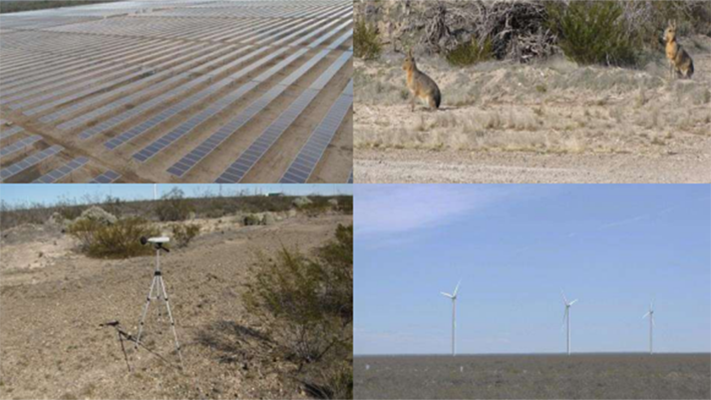 Convocan a una audiencia pública por el parque solar que construirá Aluar en Madryn