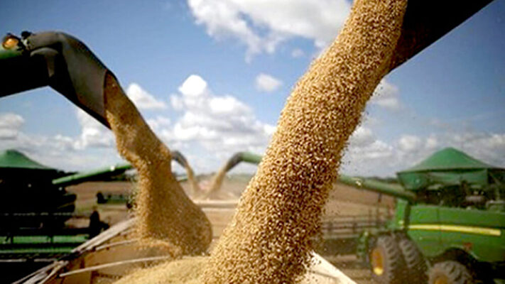 agricultura, agro, dólar, Ganadería, Pesca, Programa de Incremento Exportador