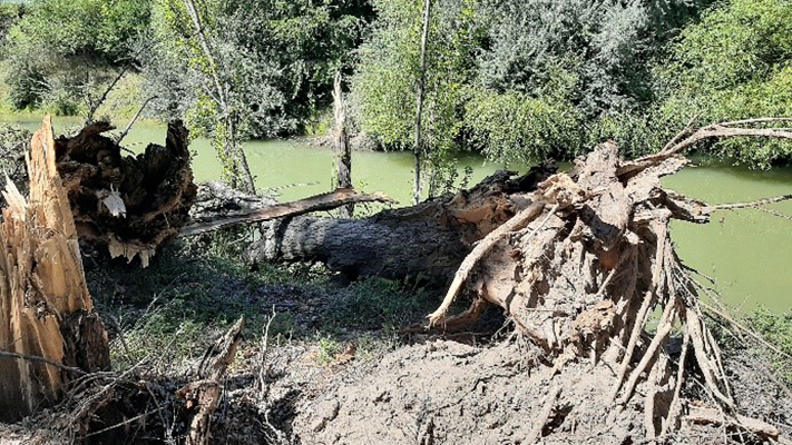 El IPA avanza con obras hídricas sobre los ríos Chubut y Senguer