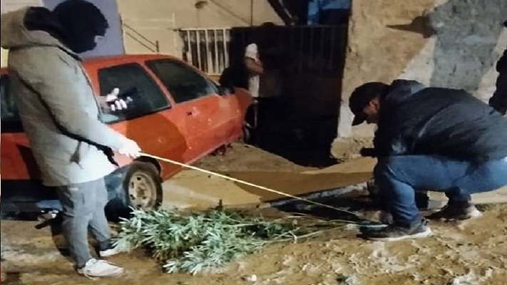 Los hallaron escapando con plantas de marihuana