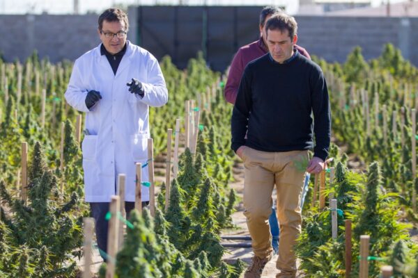 2023, cannabis medicinal, chubut, comodoro, elecciones, Frente de Todos, Luque, puerto madryn