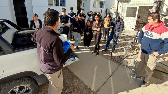 En Puerto Madryn también  se crían truchas en cautiverio