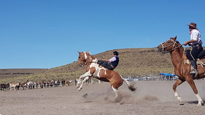 Etiquetas: FIESTA POPULAR, noticias, paso del sapo, turismo