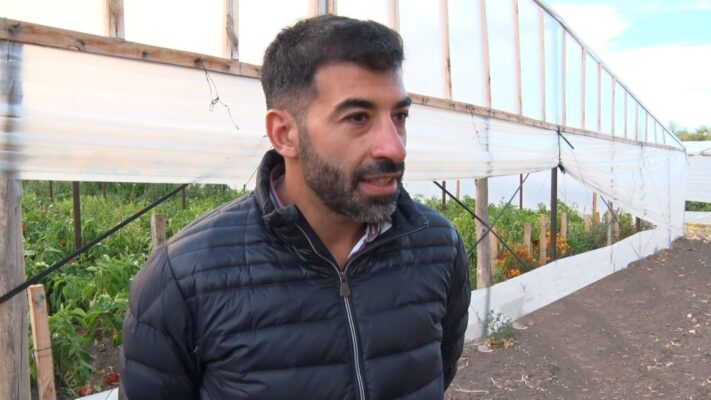 La producción bajo cubierta permitió a los productores locales insertarse en el mercado regional