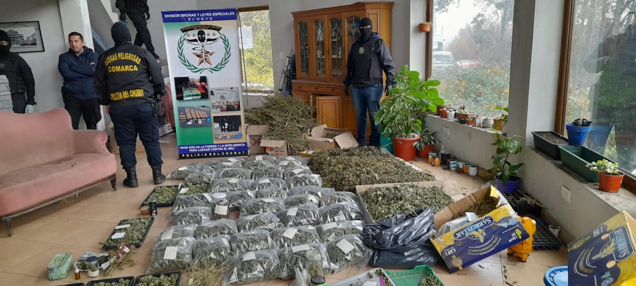 Secuestraron 50 kilos de marihuana en la Comarca Andina