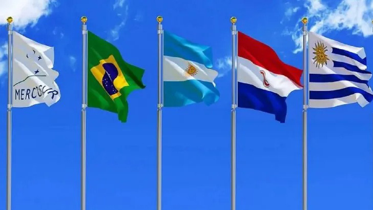 Mercosur: tras una larga interrupción, se reanuda la cumbre social