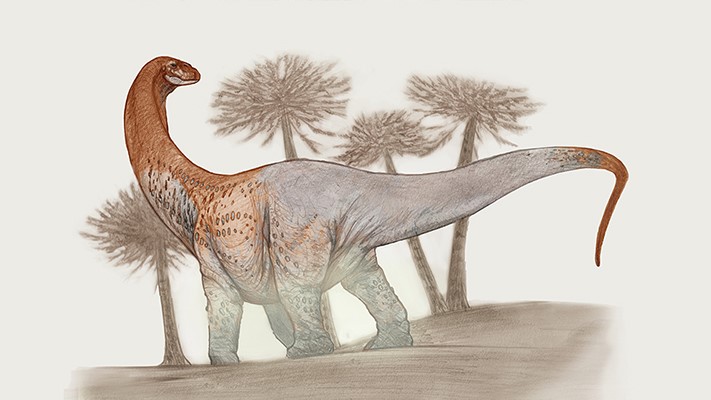 Arqueólogos del Conicet hallaron un nuevo dinosaurio de 90 millones de años
