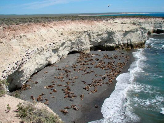 Desde abril se restablece el cobro de ingreso Punta Loma