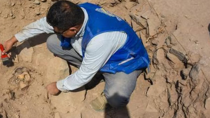 En Perú encontraron una momia de 3.000 años