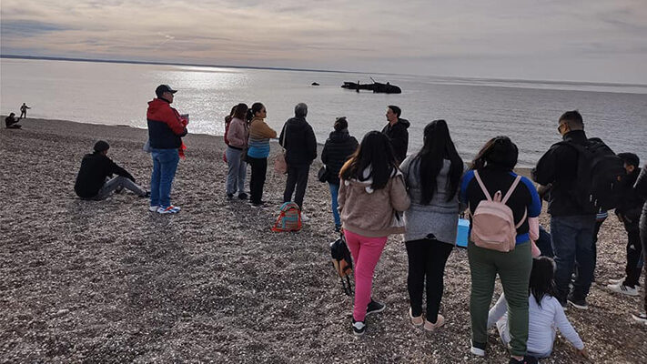 Madryn, Municipales, naufragio, turismo