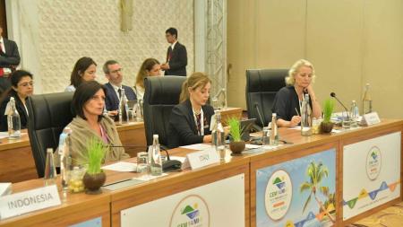 AGENCIA INTERNACIONAL DE ENERGÍA, argentina, biocombustible, Brasil, cambio climatico, emiratos árabes unidos, Estados Unidos, flavia royón, G20, India, transición energética, unión europea