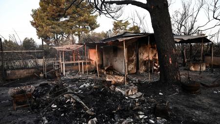 Mejora la situación provocada por los incendios forestales en Grecia