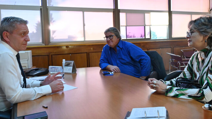FACUNDO, JEFES COMUNALES, Mariano Arcioni, ricardo rojas