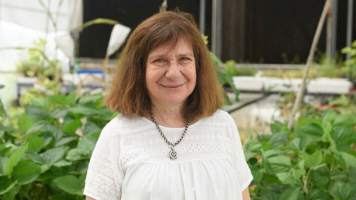 becas del Conicet, Bunge y born, CIENCIA, noticias, premio