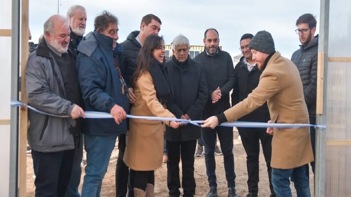 Centro de Genética y Propagación de Ecotipos Patagónicos de Olivos, Dante Bowen, Polo Olivícola Patagónico