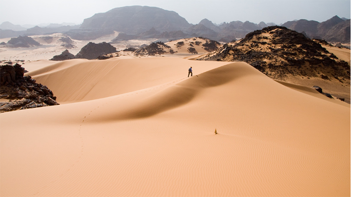 Hace millones de años, el desierto del Sahara era verde