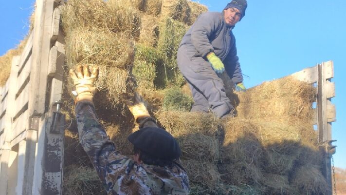 Etiquetas: Ministerio de Agricultura