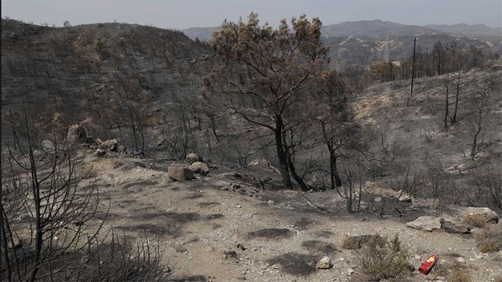 Grecia ofrece vacaciones gratis a los afectados por los incendios en la isla de Rodas