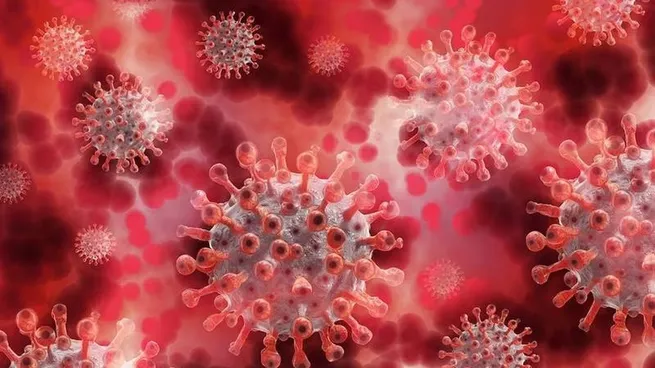 La UBA investiga nuevas vacunas ante «mutaciones» del Covid-19