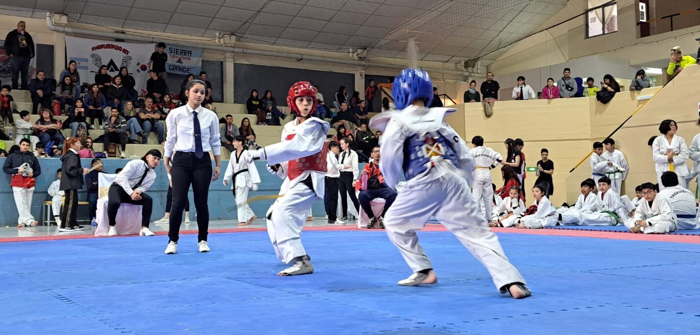 Con total éxito, se disputó el Provincial y Open Patagónico de taekwondo