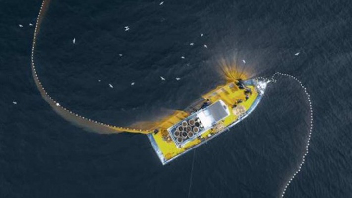 Crean un robot marino con IA para detectar pesca ilegal