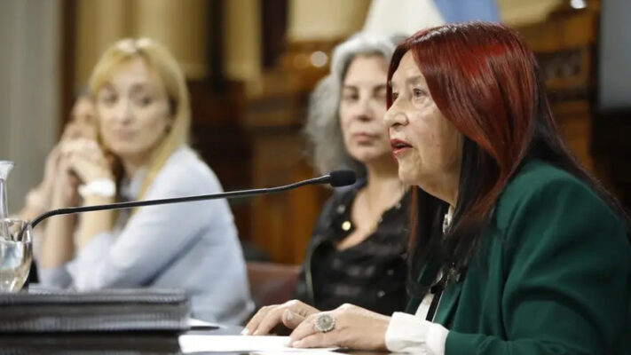 ana maría figueroa, cfk, prórroga, Senado