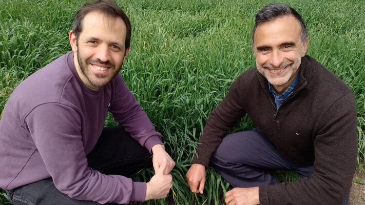 científicos, CONICET, FERTILIZANTES, investigación, plantas