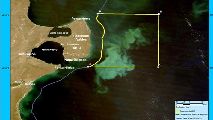 Proponen crear el área marina protegida “Frente Valdés”