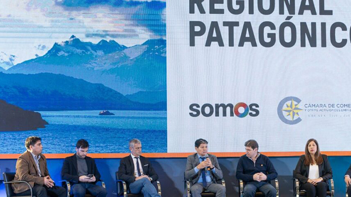Dirigentes patagónicos coincidieron en fortalecer la representación territorial