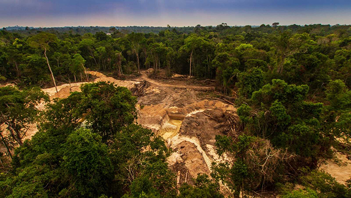 Demuestran que Bolsonaro fue el peor desastre ecológico para la Amazonía brasilera