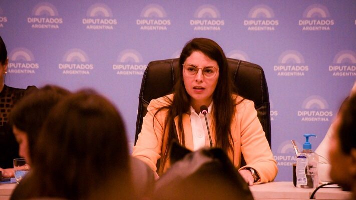 La ministra de Mujeres presentó el Índice de Crianza en la Cámara de Diputados