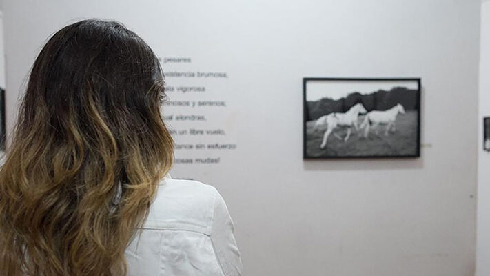 Cultura, fotografía, Madryn, Municipales, noticias