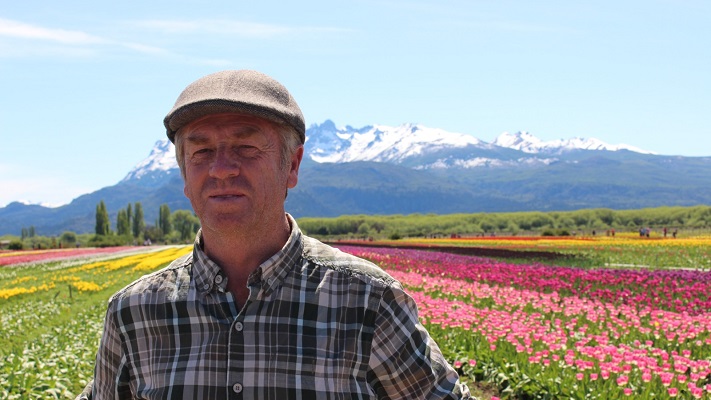 Finde XL: No quedan más reservas hoteleras para ver los tulipanes en Trevelin